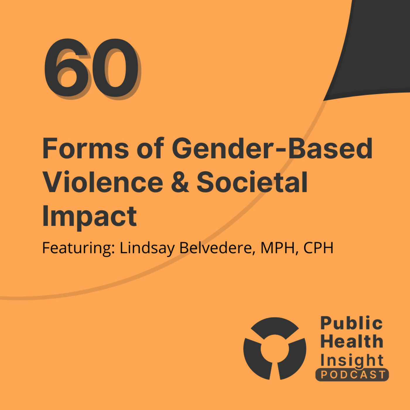 Forms of Gender-Based Violence & Societal Impact - Public Health Insight