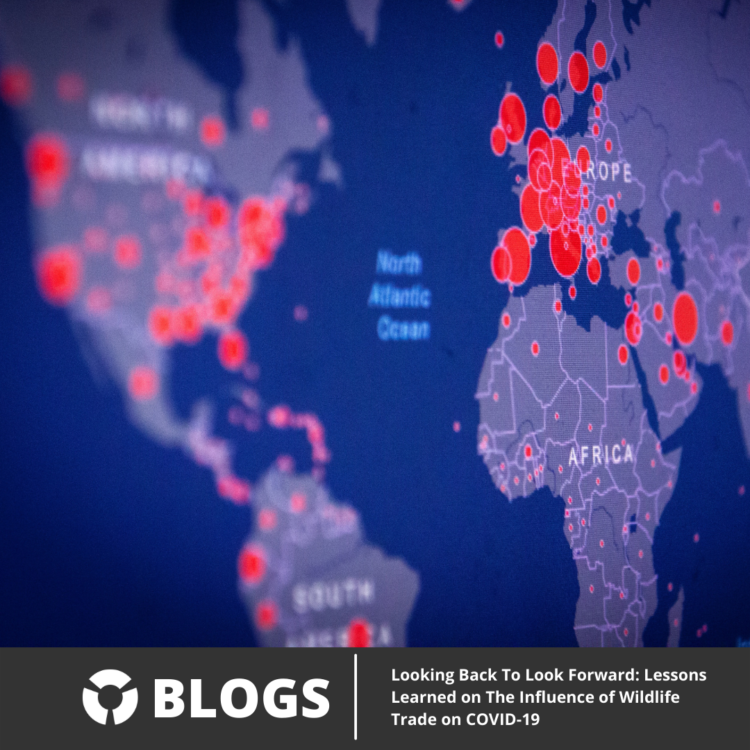 Looking Back To Look Forward: Lessons Learned on The Influence of Wildlife Trade on COVID-19