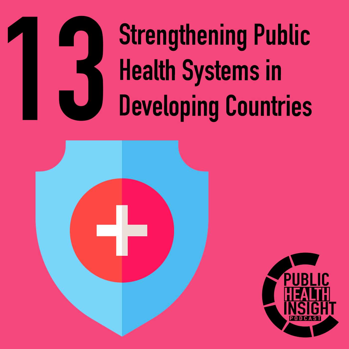Strengthening Public Health Systems in Developing Countries – Public ...